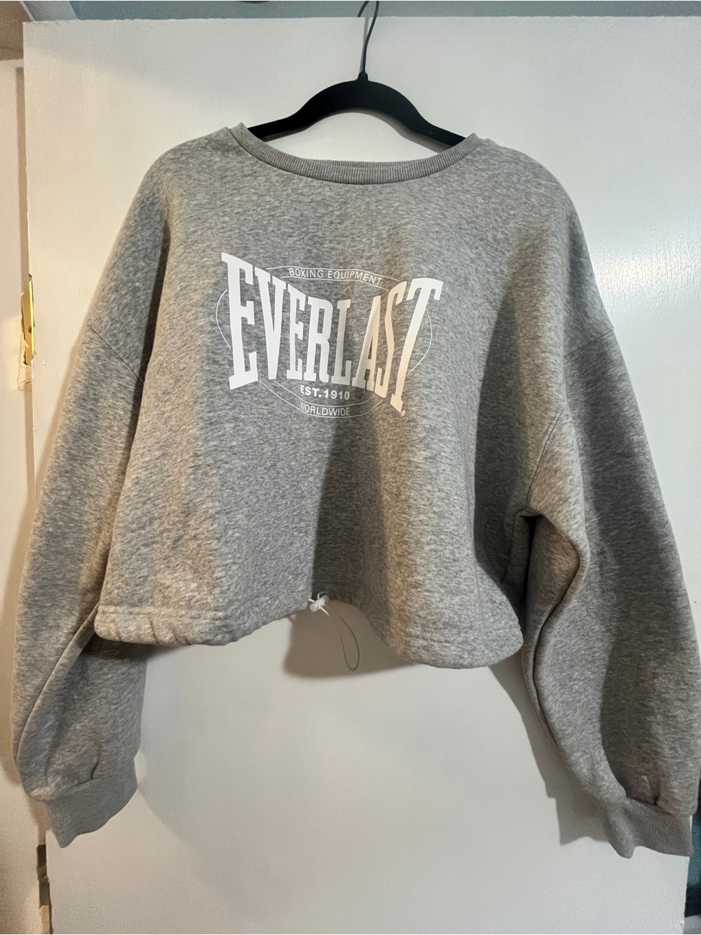Everlast Grey Crewneck Cropped Hoodie Size 2X